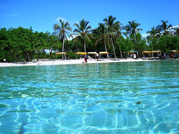 Morrocoy