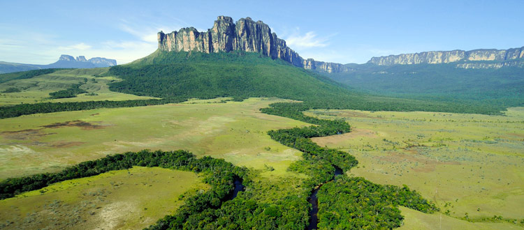 La Grán Sabána de Venezuela, al fondo los tepuyes, formación rocosa más antígua del mundo